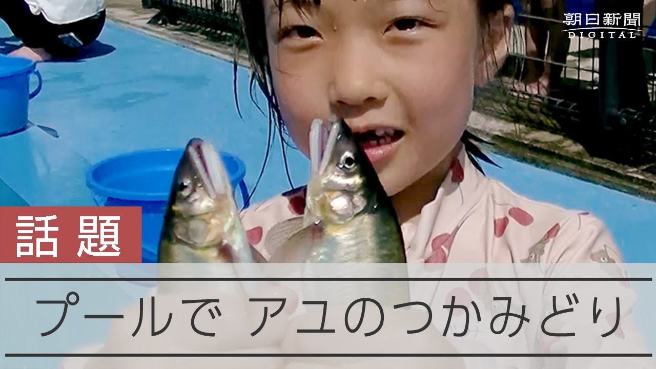 鮎 の つかみ取り