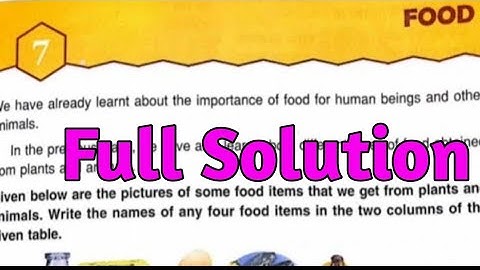 ||DAV Class 4 Science Ch-7 Food Full Solution||DAV Class 4 Science||Collection Of Study||