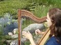 The golden eagle hornpipe on harp bohemian harp  boehmische harfe  reidun