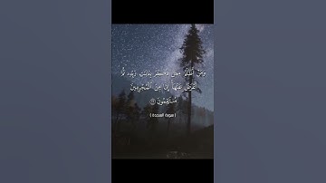 تلاوة من سورة السجدة بصوت الشيخ ياسر الدوسري #قرأن #المصحف #ياسر_الدوسري #اطمئن_وتوكل_على_الله