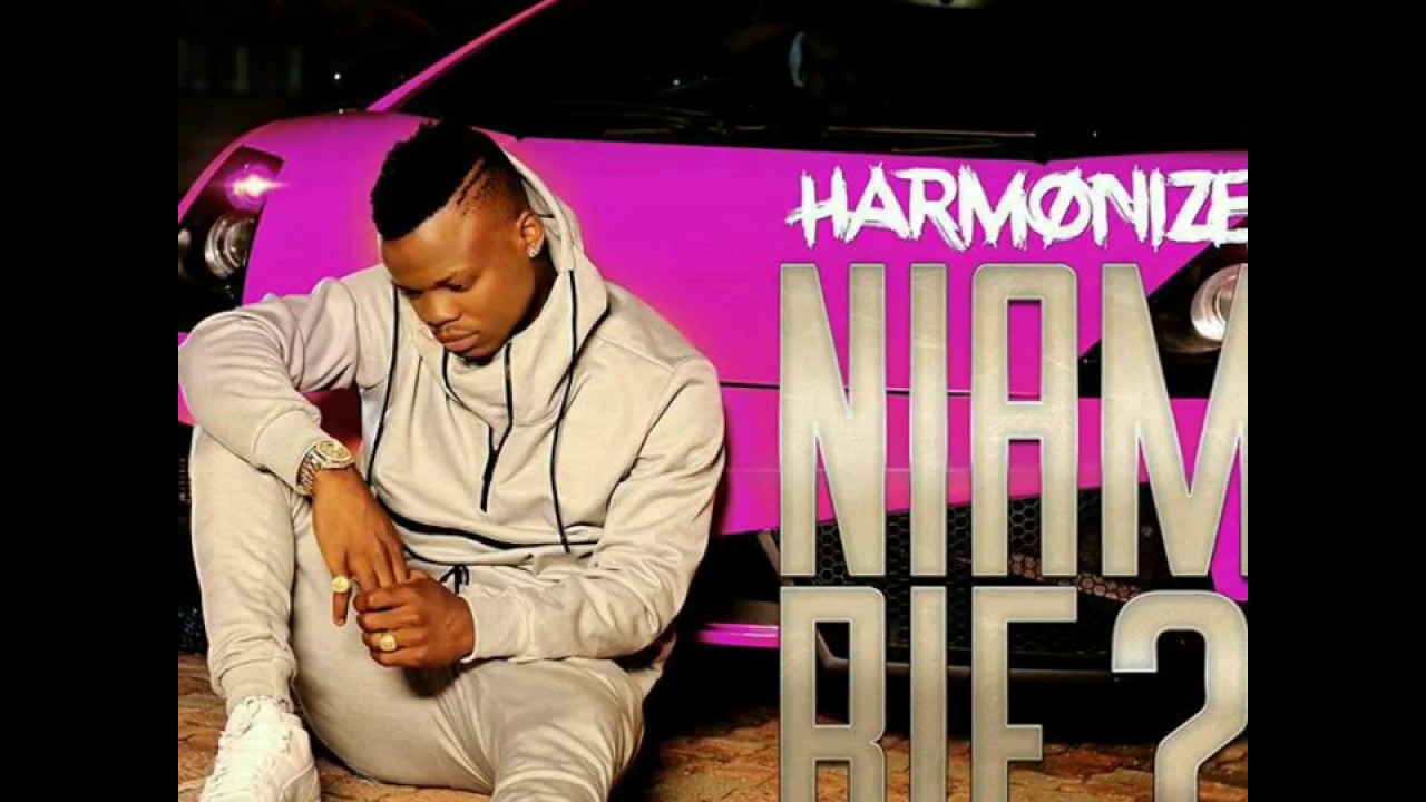 harmonize niambie lyrics YouTube