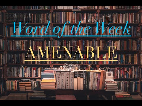 How to Use the Word "Amenable"