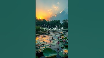 تلاوة عطرة للشيخ محمد صديق المنشاوي صوت يأخذك إلى عالم آخر #قرآن #اكسبلور #حالات_واتس #المصحف