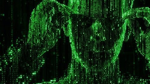 Cmd Üzerinden Matrix Ekranı Yapımı