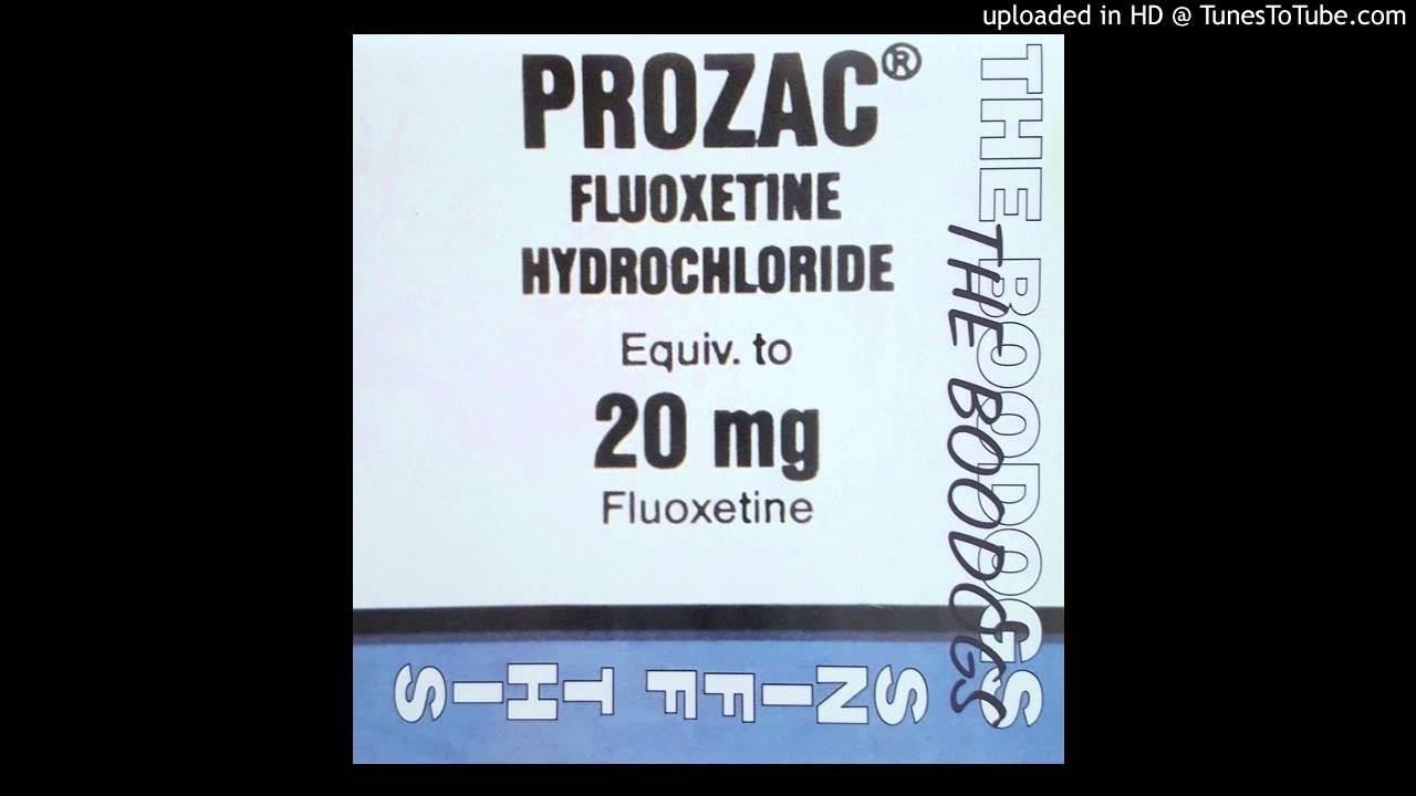 George Bush Is A Twinkie - The Boodogs