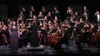 2015 NHS Orchestra Spring Concert