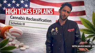 Cannabis Reclassification (Schedule 3) EXPLAINED — Sentencing, Taxes, & More | High Times Q&A