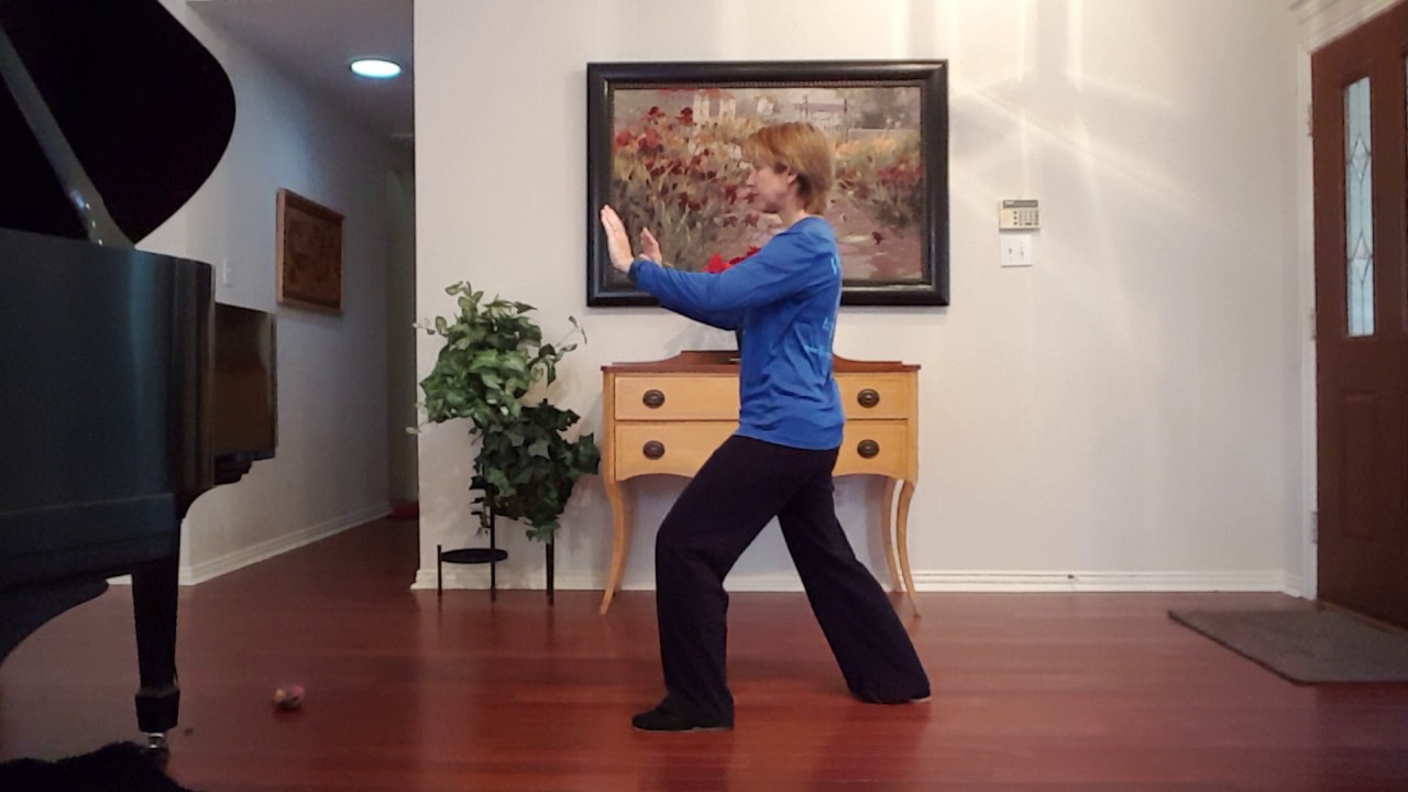 Тайцзицюань стиля Ян, поглаживание, мостик «Птичий хвост» #yangtaichi #taichi #24form