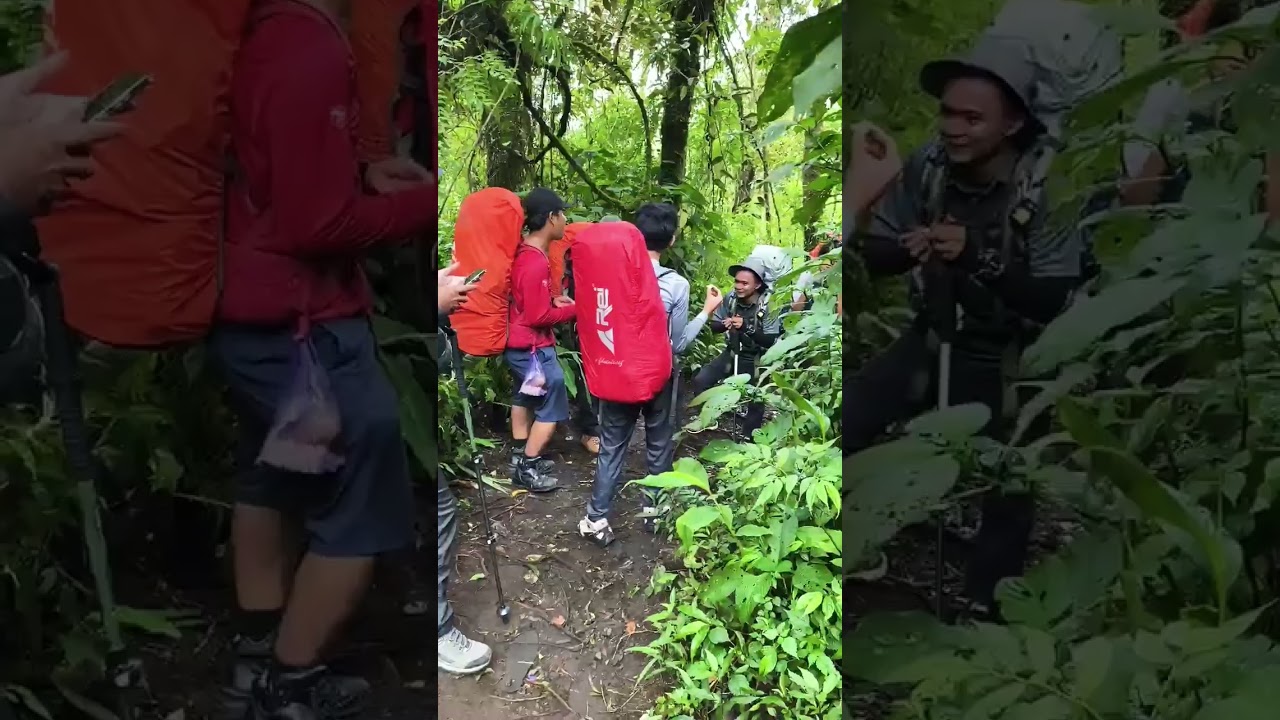 Apa yang kamu rindukan di saat mendaki 