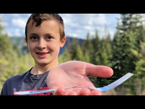 Covid-19 & My Favorite Fork