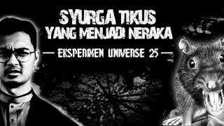 Asalnya Nak Cipta Syurga Tikus, Tapi Akhirnya Menjadi Neraka Menakutkan! Eksperimen Universe 25 screenshot 5