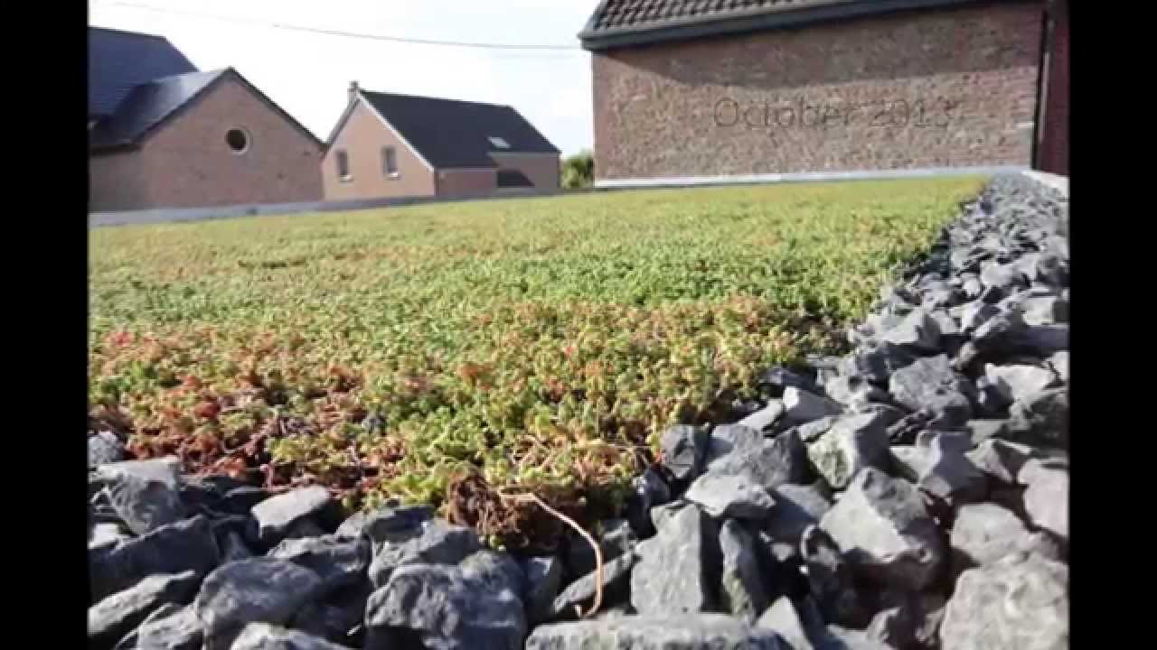 Urbanscape - Green Roof in four seasons - YouTube