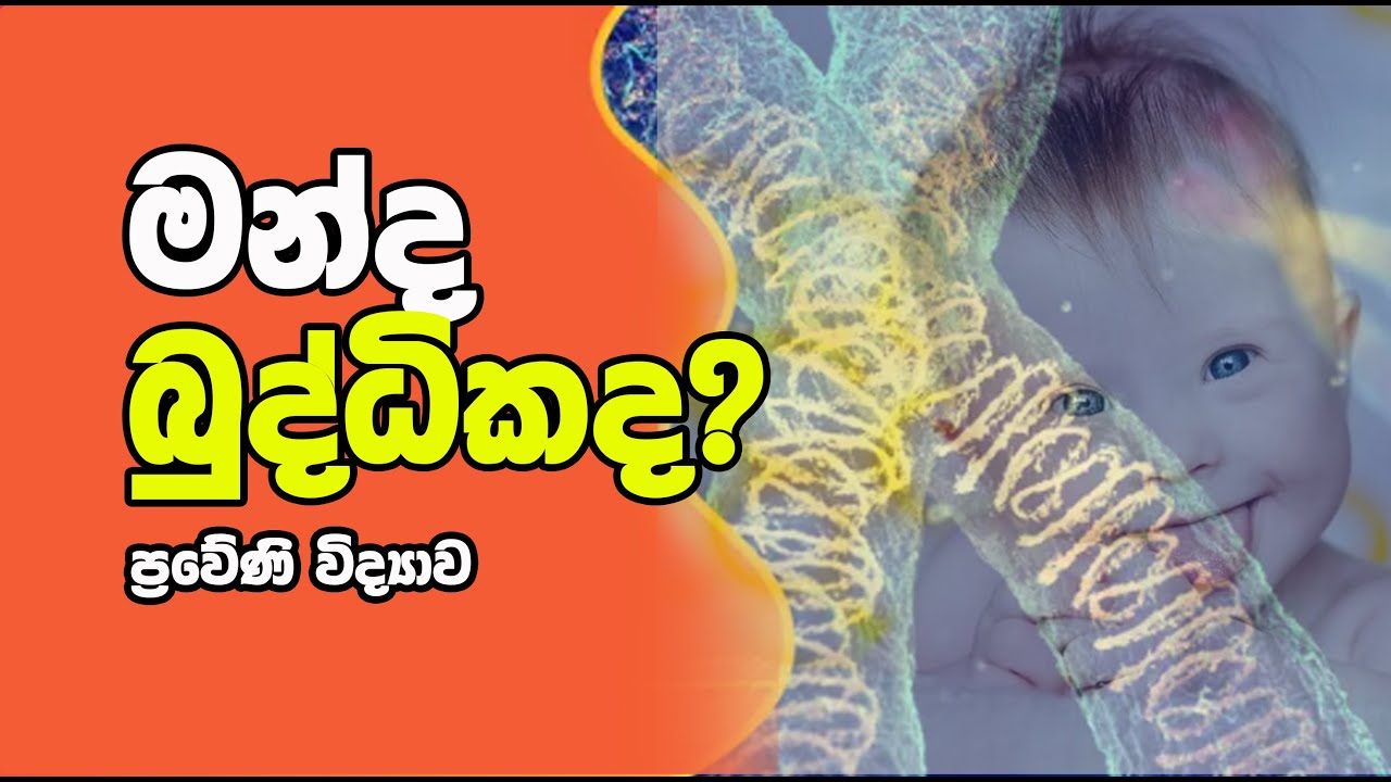 ප්‍රවේණි විද්‍යාව Free Seminar - 10/11 ශ්‍රේණි