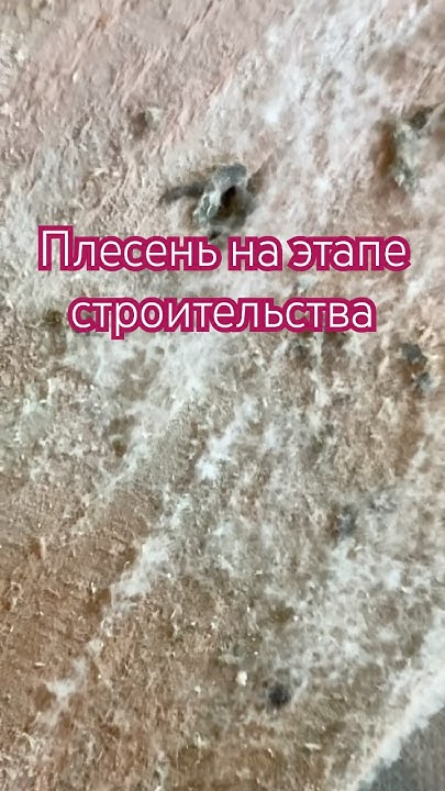 и такая ситуация оказалась по всем 100 квадратов пола - YouTube