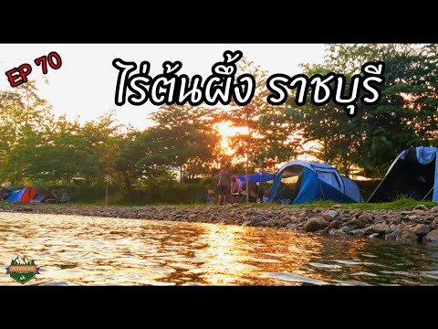 EP70กางเต็นท์ เล่นน้ำ ไร่ต้นผึ้ง สวนผึ้ง ราชบุรี อากาศหนาว 16.9°องศา By Srohground Camping