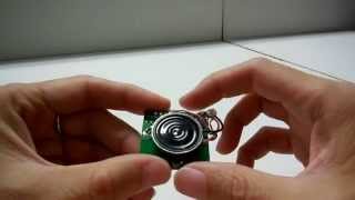 Voice module with light sensor