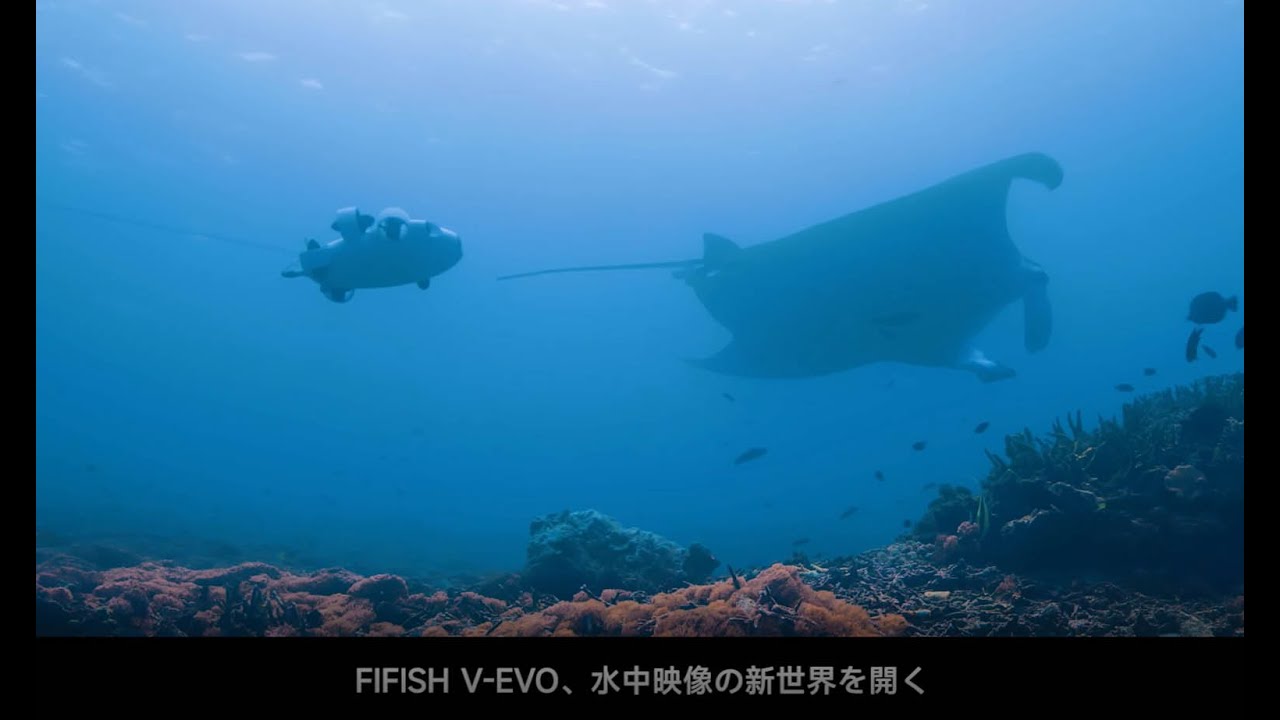 FIFISH V-EVO_STANDARD | FIFISH V-EVO (ファイフィッシュ V-EVO