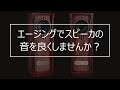 (エージング/Burn in) スピーカー 性能改善プログラム
