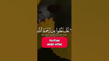 سورة الزمر الاية 53 بصوت اسلام صبحي 💟🤍