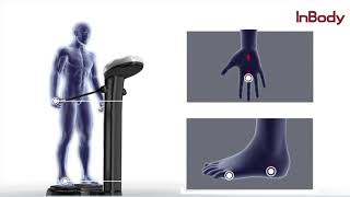 Inbody Body Composition Analysers
