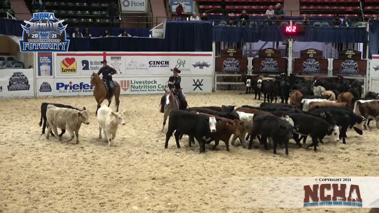Playful Metallic & Christina Cox win NCHA Futurity Non-Pro