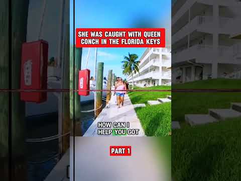 She was caught with queen conch the florida keys 1st part #police #cops#shorts