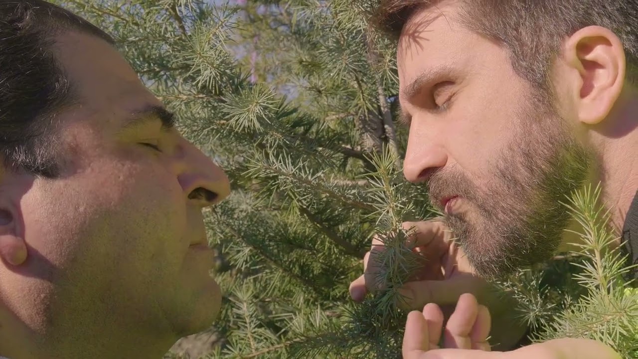 Rocco Salata: SiteOne