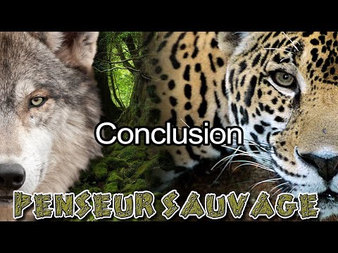 L&rsquo;éthique animale au 21ème siècle | Conclusion - Animaux CH.2 EP.17