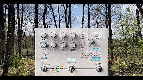 Microcosm and Violin