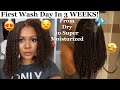 First Wash Day In Three Weeks! Healthy Hair