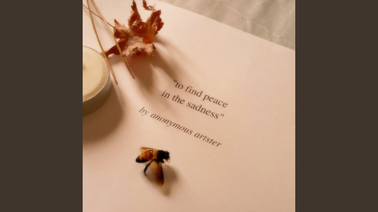 remember when we used to ride our bicycles down the hallway