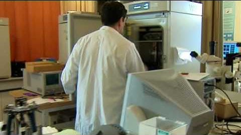 Mobile Communications and Health