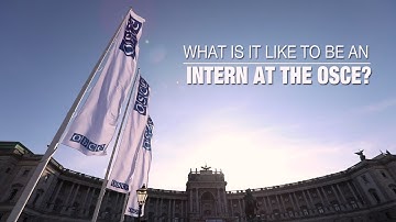 What it is like to be an intern at the OSCE?