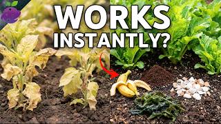 10 Natural Fertilizers That Work FAST (Results in Days, Not Weeks!)