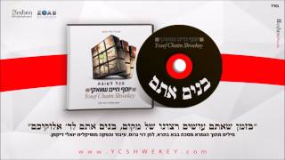 יוסף חיים שוואקי - בנים אתם Yosef Chaim Shwekey - Bonim Attem chords