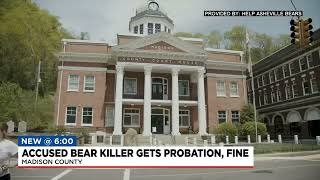 Man charged in connection with mutilated bears avoids jail time