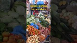 Gastronomia de Cabo verde