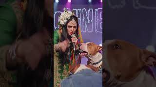 #viralvideo #top #songs