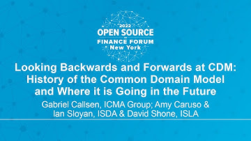 Looking Backwards and Forwards at CDM:... - Gabriel Callsen, Amy Caruso & Ian Sloyan & David Shone