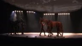 A look at the latest version of hit stage play 'War Horse,' due to open in Paris Friday