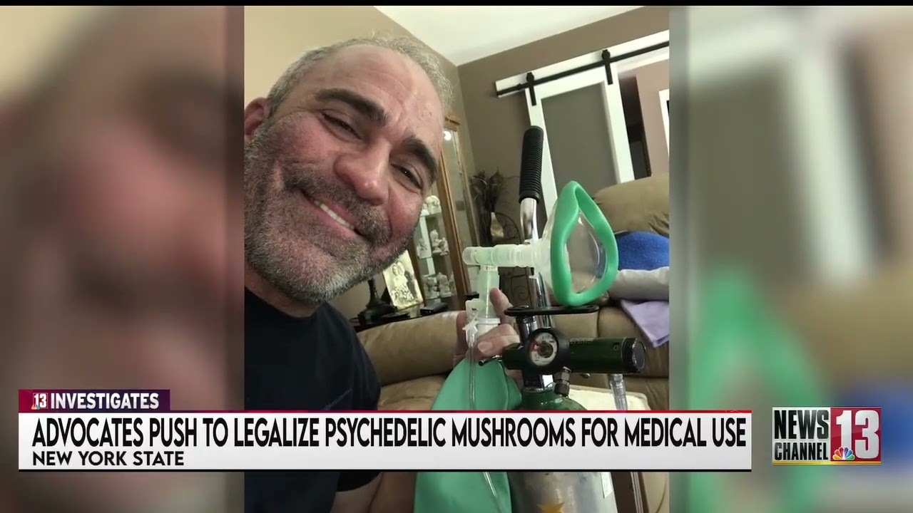 13 расследований: новый шаг к легализации психоделиков в Нью-Йорке