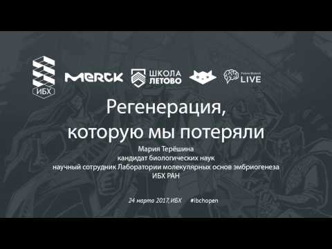 Регенерация, которую мы потеряли