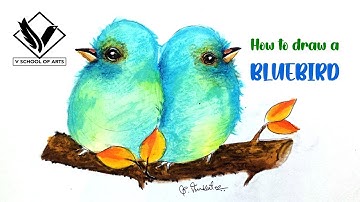 How To Draw A Bluebird |  V shool of arts