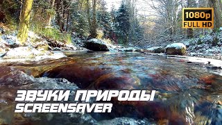 Живая природа - Речка | Звуки природы | Звуки реки | Шум реки | Релаксация | Медитация | Заставка ТВ