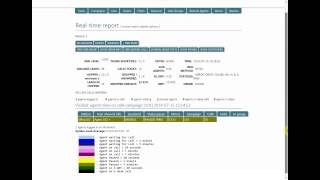 Hostcomm Hosted Dialler - Realtime Report Video