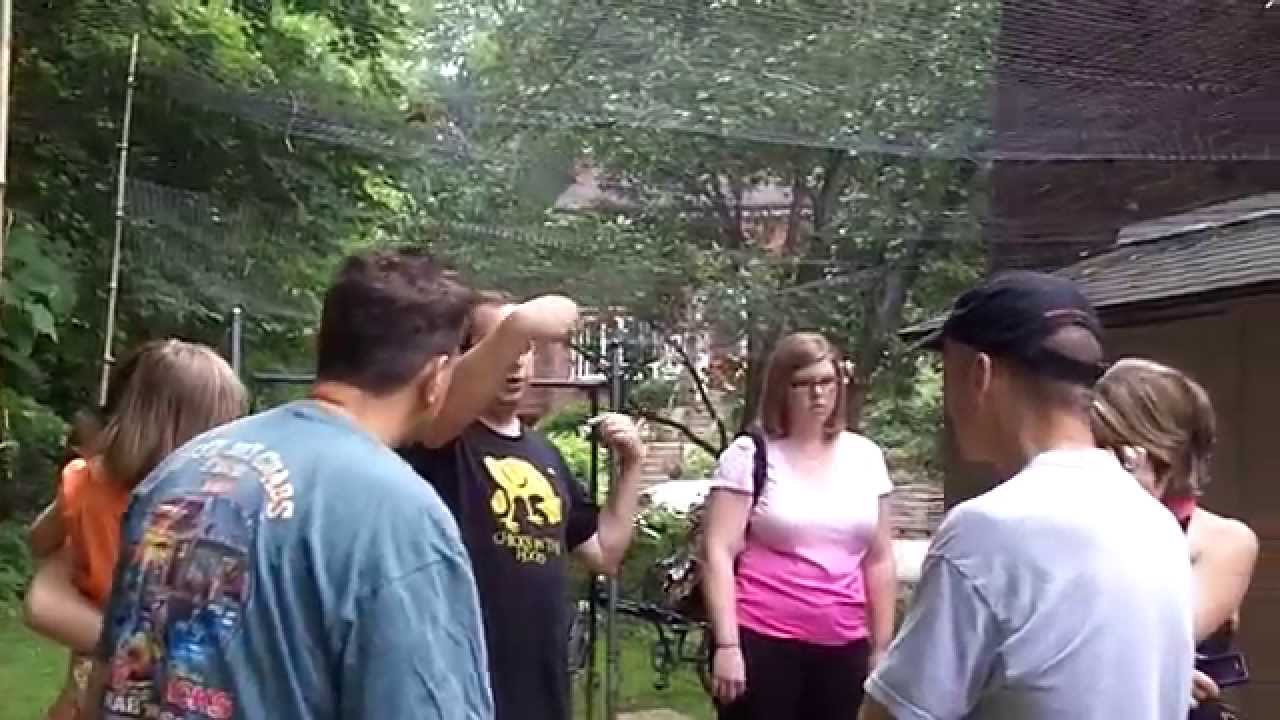 Backyard chickens Tour of backyard chicken and urban chicken coops in