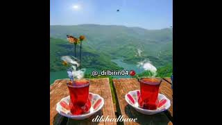 Hozan Aydin xwezi