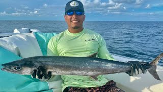 Cut Bait VS Live Bait Challenge! You will be Surprised With The Results! Pensacola Florida