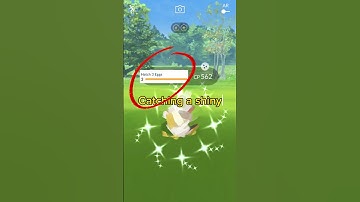 ✨SHINY✨ pokémon on field research task event! Pokémon GO #shorts #pokemon #pokemongo #shinypokemon