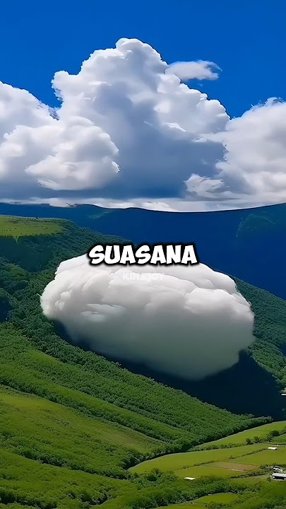 Grandpa's dream 🤣 #shorts #funnyshorts #facts #comedy
